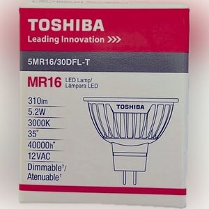 Toshiba LED light
